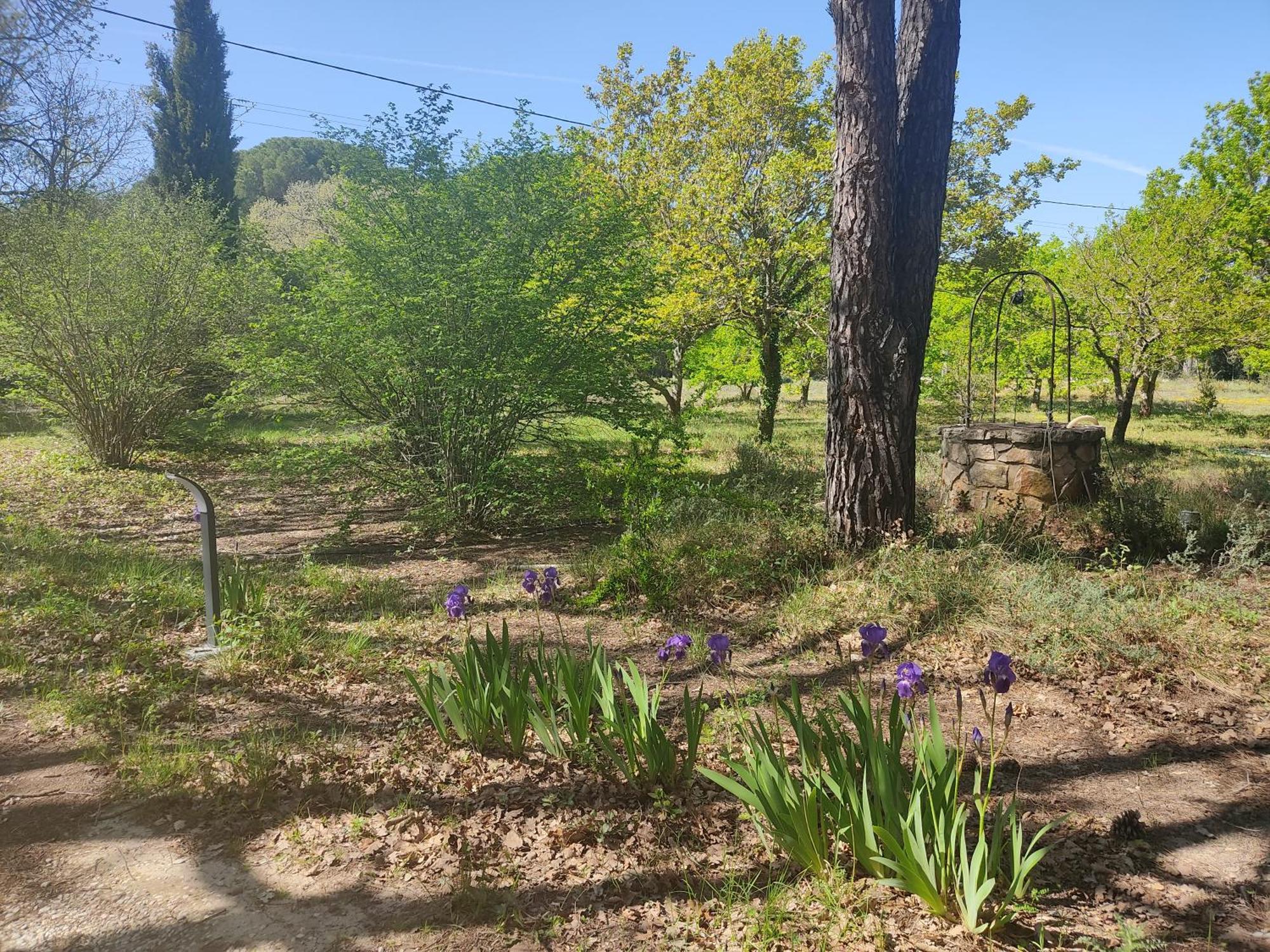Villa Dans La Foret Provencale Jouques Eksteriør billede