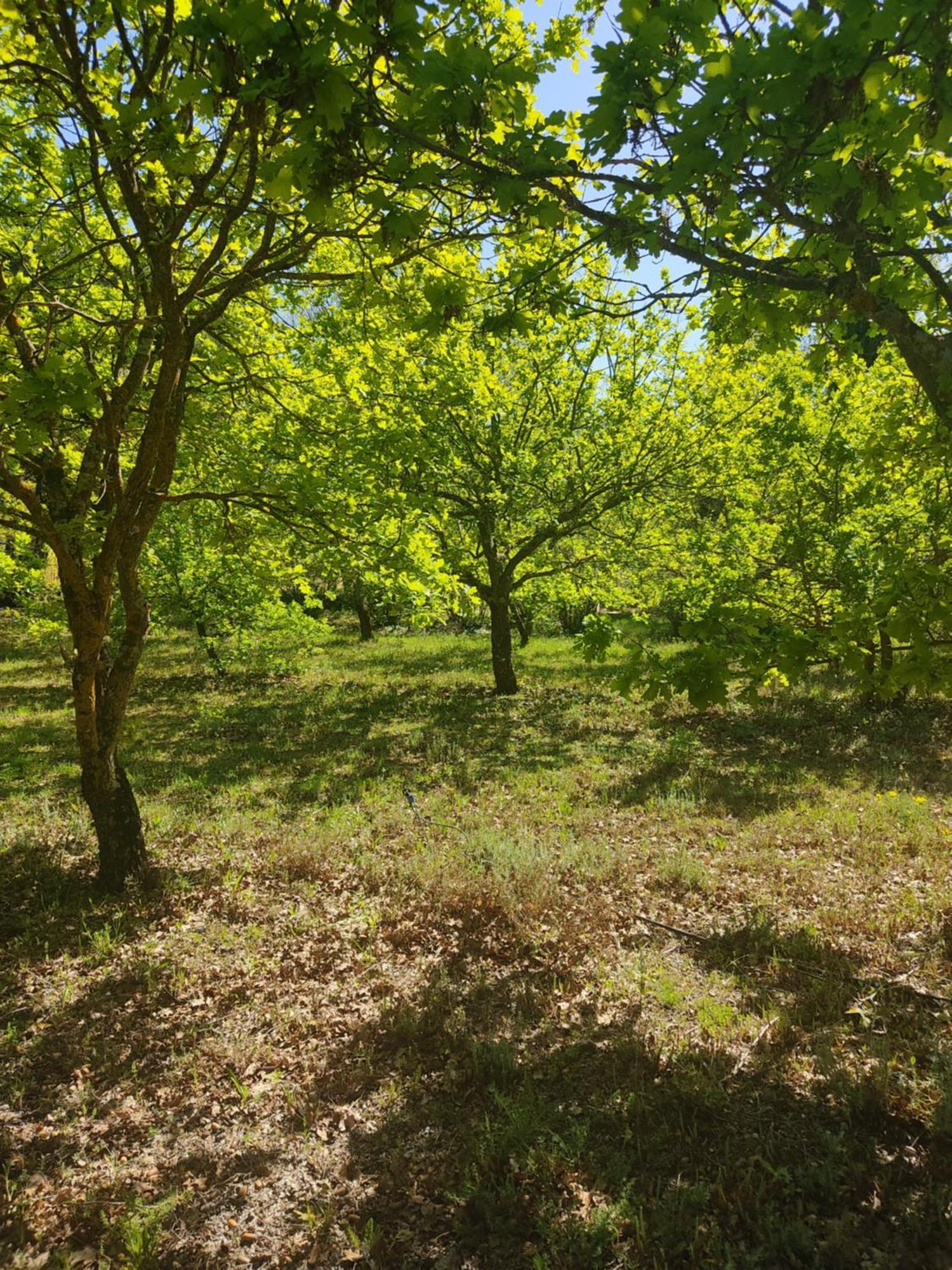 Villa Dans La Foret Provencale Jouques Eksteriør billede